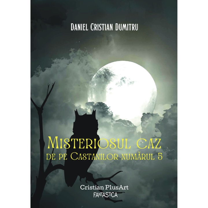 Misteriosul caz de pe Castanilor numarul 5, autor Daniel Cristian Dumitru, Editura Cristian Plusart, 318 pagini