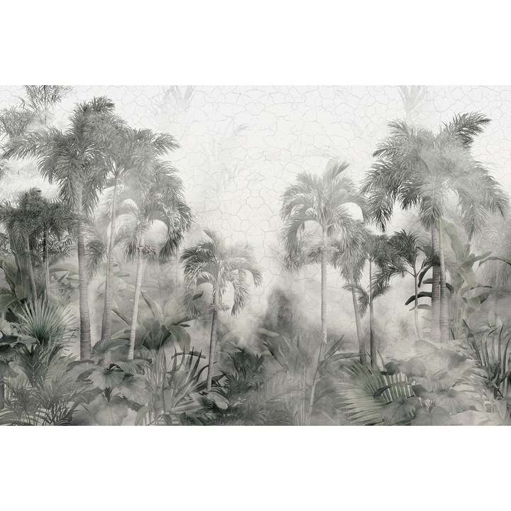 Fototapet Natura, Jungla in ceata, Plamieri, Padure, Vlies, Lavabil, 300 x350cm