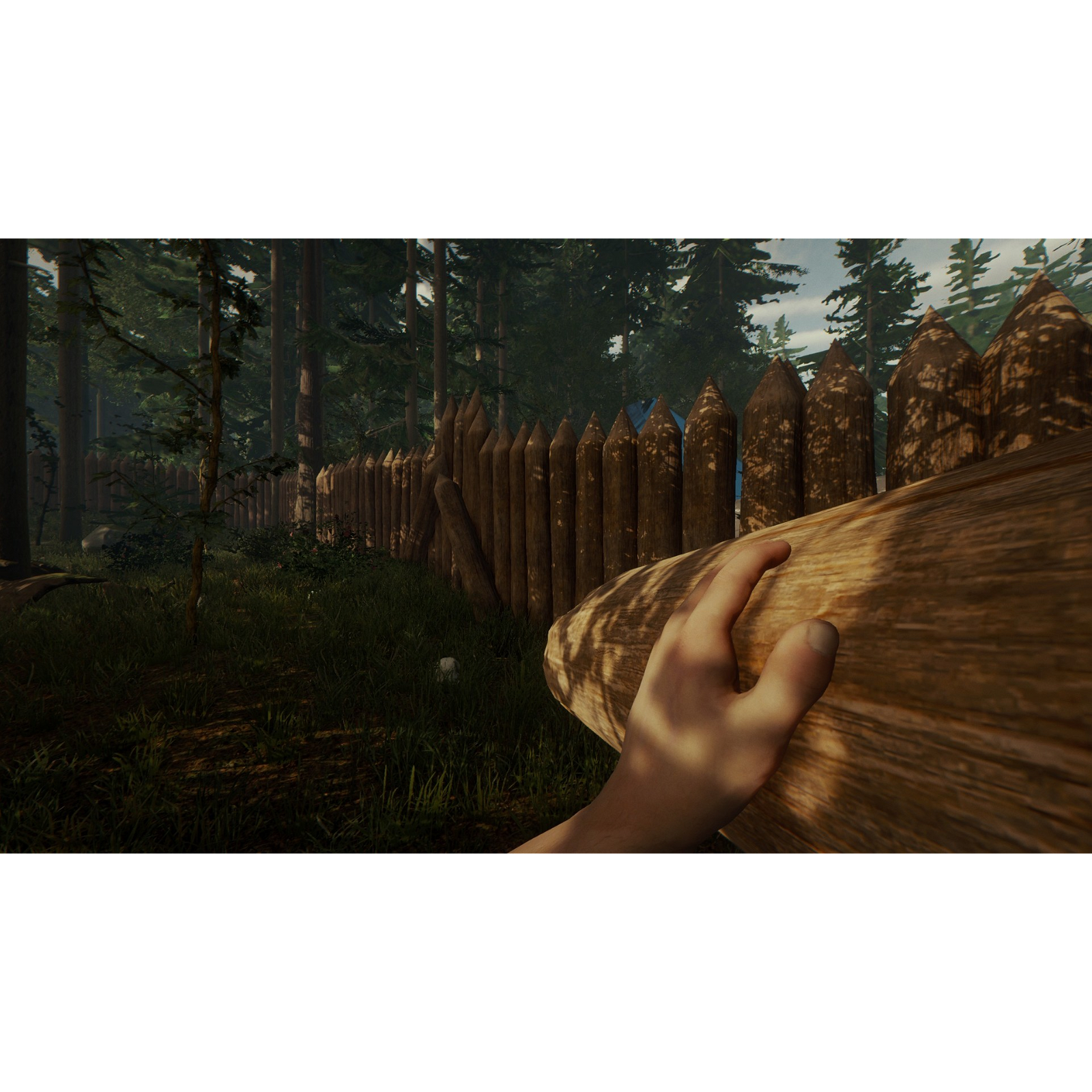 Joc The Forest cod de activare Steam - eMAG.ro