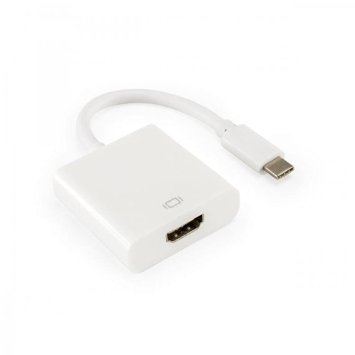 Adaptor Sbox HDMI F. type-C M
