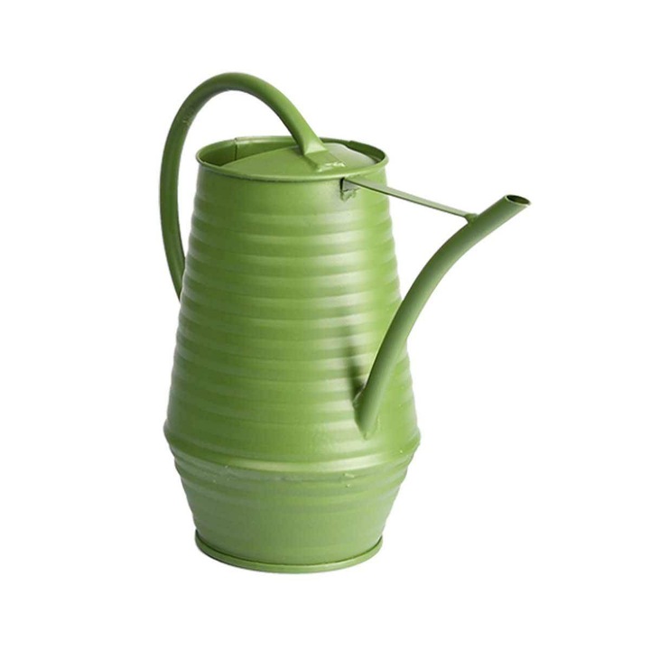 Stropitoare decorativa, 1 litru, 26x20x11 cm, Otel galvanizat, Verde