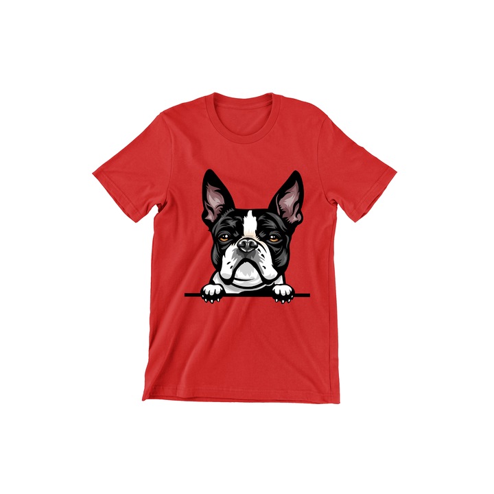 Póló Kids, Dogs, Hello Boston Terrier, piros