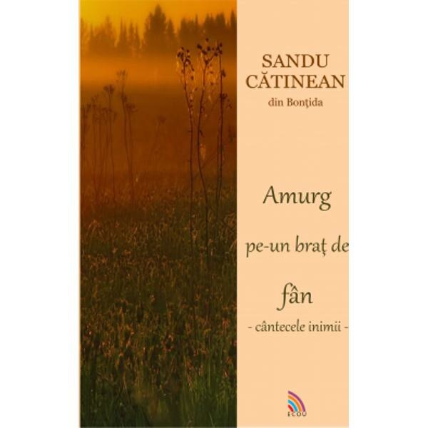 Amurg pe-un brat de fan - Sandu Catinean
