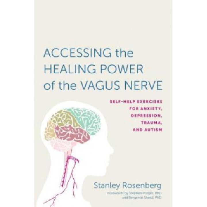 Accessing the Healing Power of the Vagus Nerve - Stanley Rosenberg