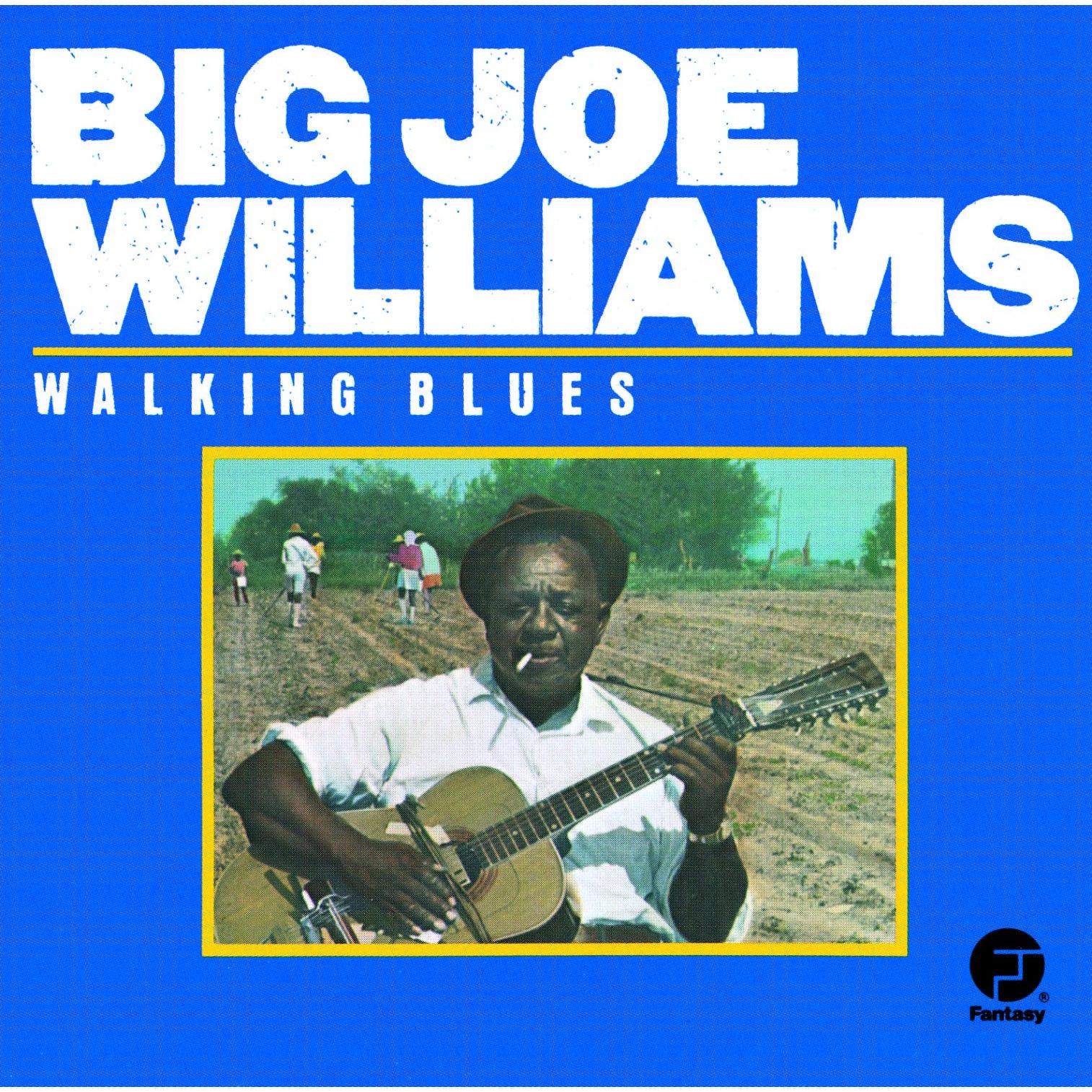 Big Joe Williams-Walking Blues-CD