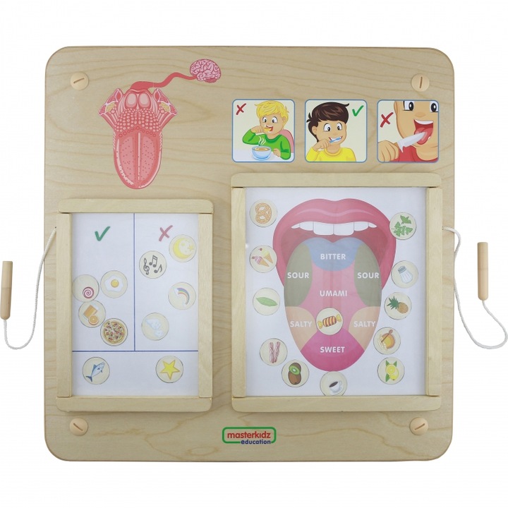 Plansa educationala, Masterkidz, Lemn, 3 ani, Multicolor