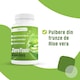 Supliment alimentar pentru slabit, ZeroToxin AloeVera Doza de Sanatate-30 capsule, 7,71gr