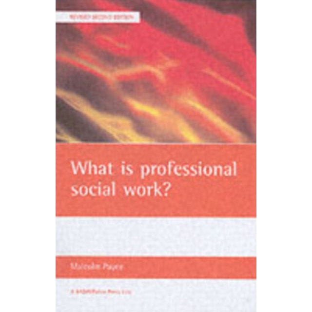 what-is-professional-social-work-emag-ro