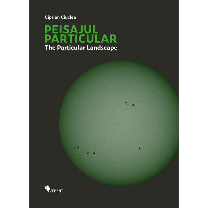 Peisajul particular / The Particular Landscape - Ciprian Ciuclea