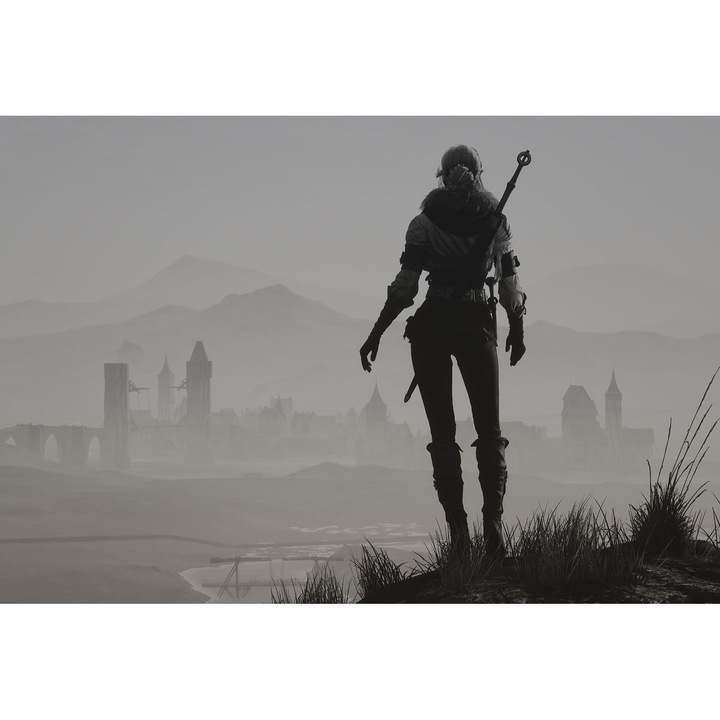Poster Ciri The Witcher 3 Wild Hunt Minimal, 61x90cm, poster1083
