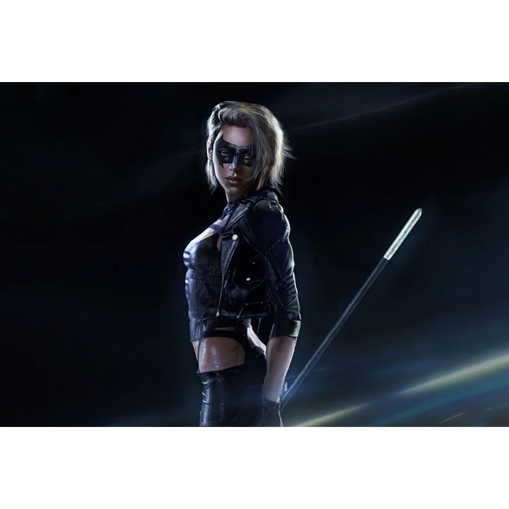 Vászonfestmény Kristen Stewart Concept Art As Black Canary, 80x50cm, festmény1069, Többszínű