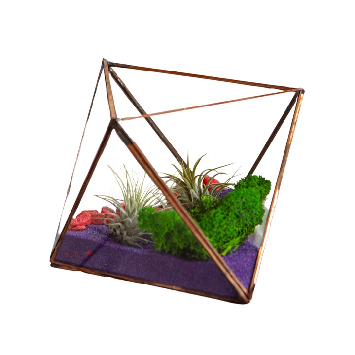 Terariu cu plante aeriene Greenarium, octaedru mediu, muchii cupru, 19 x 13 x 16cm, doua plante aeriene