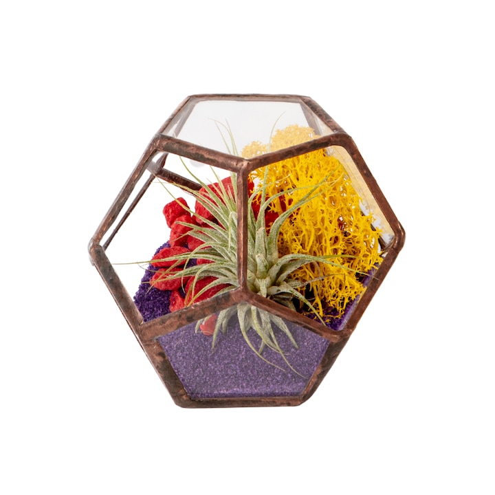 Terariu cu plante aeriene Greenarium, dodecaedru mic, muchii cupru, 9 x 11 x 11cm, o planta aeriana