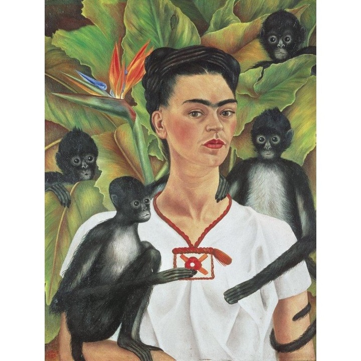 Piatnik - Puzzle Frida Kahlo a majmok között - 1 000 darab