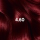 Vopsea de par permanenta cu amoniac Garnier Color Sensation 4.60 Intense Dark Red, 112 ml