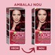 Vopsea de par permanenta cu amoniac Garnier Color Sensation 4.60 Intense Dark Red, 112 ml