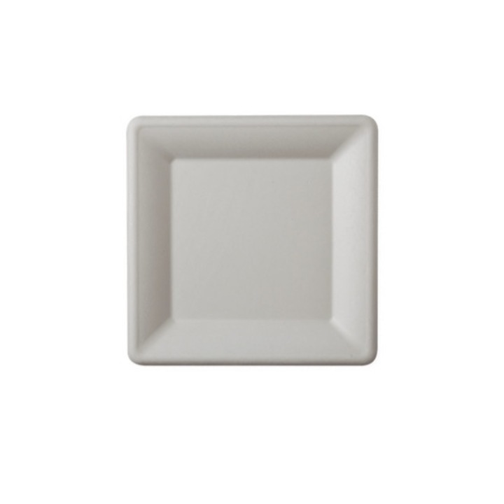 Комплект от 50 квадратни чинии, AlverGreen, 25x25 см