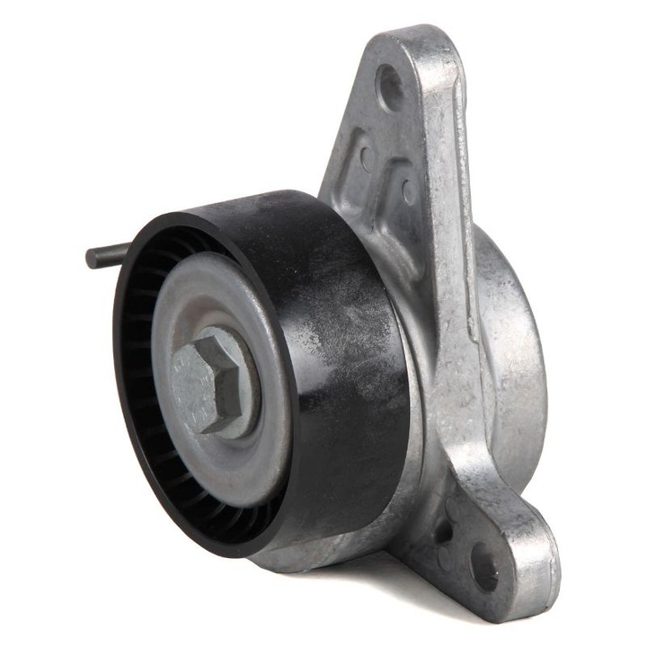 Обтегач на трансмисионен ремък, Audi, Seat, Skoda, Vw, 534 0552 10 Ina