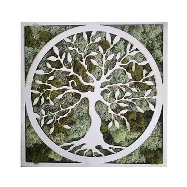 Caseta cu licheni 30x30 cm tablou