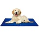 Patura termica cu gel pentru animale de companie CLASStitude, pentru caine sau pisica, tip saltea racorire, 40 cm x 50 cm, Albastru