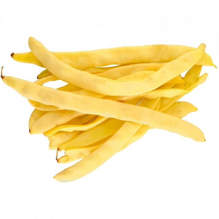Bokorbab Odir 1 kg