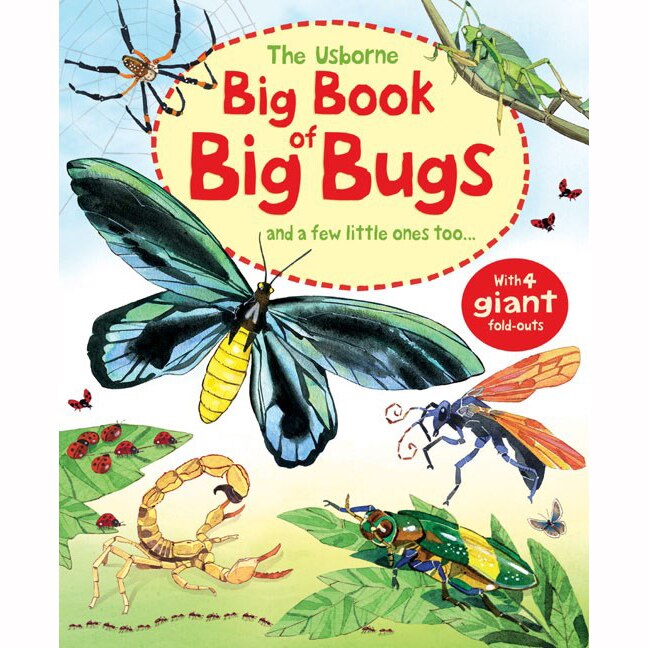 Big Book of Big Bugs - Emily Bone