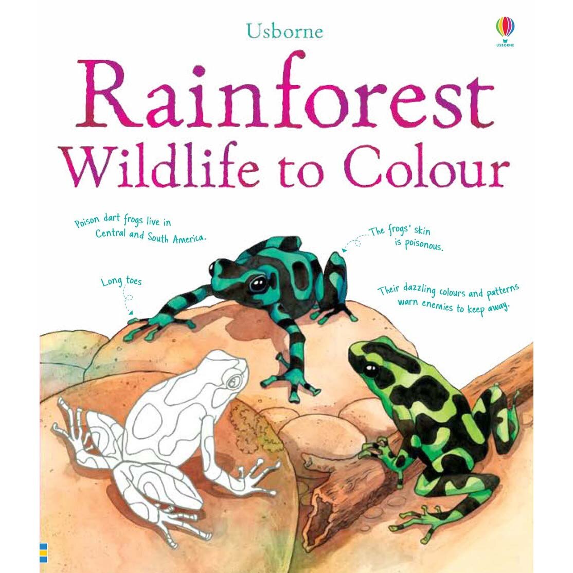 Rainforest to Colour - Susan Meredith