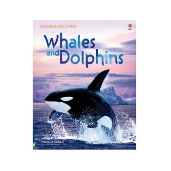 Whales and Dolphins - Susanna Davidson Whales and Dolphins - Susanna Davidson