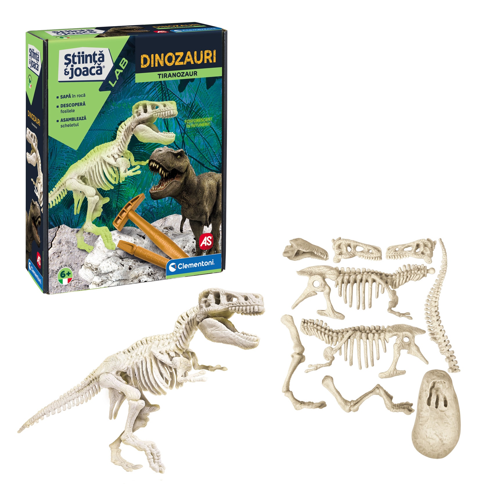 Archeo-Ludic T-REX and Triceratops;