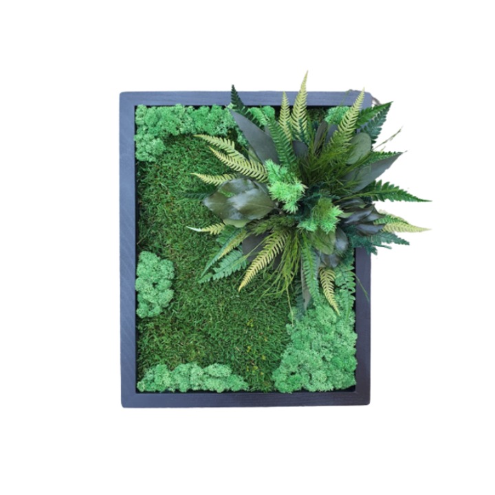 Tablou cu muschi si licheni stabilizati, model Jungle, rama de lemn neagra, 30x40 cm, Dream of Alexa's garden