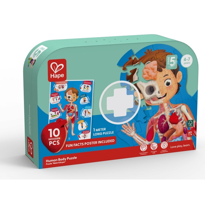 Дървен пъзел, Hape, Човешко тяло, 60 части