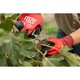Foarfeca pentru recoltat si cizelat, snip Felco 320