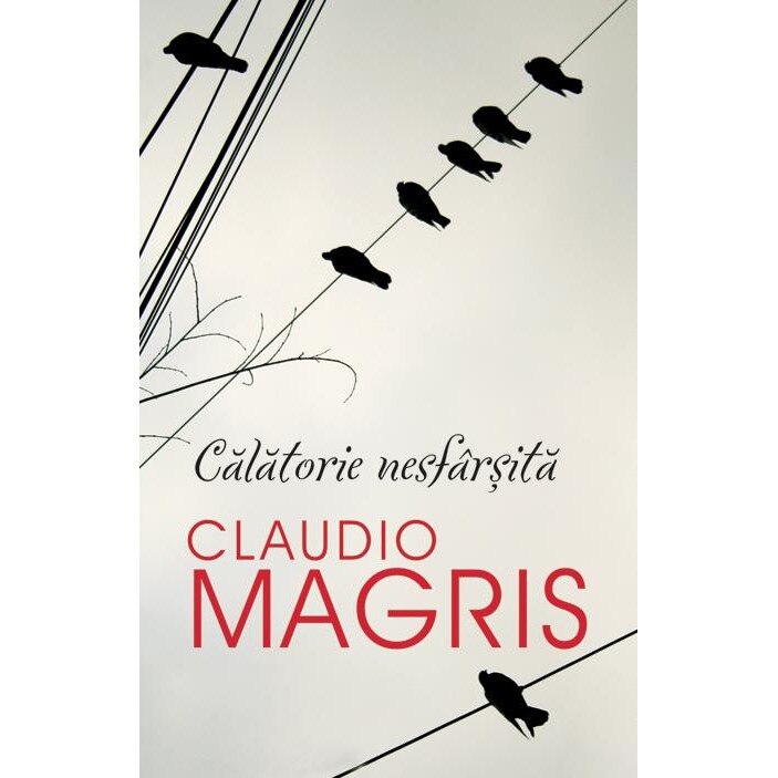 Calatorie nesfarsita - Claudio Magris