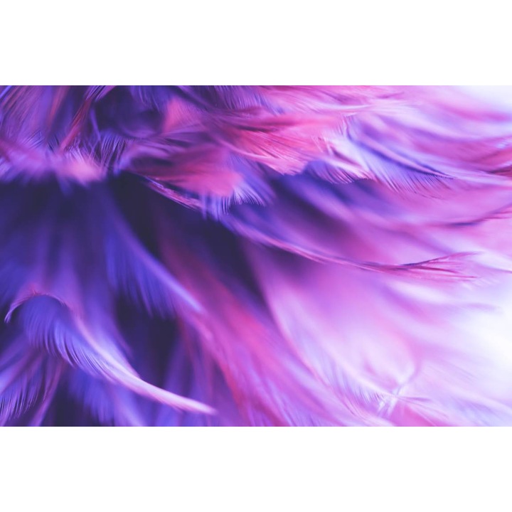 Tablou Canvas - Abstract Pene Mov, 100x70 cm