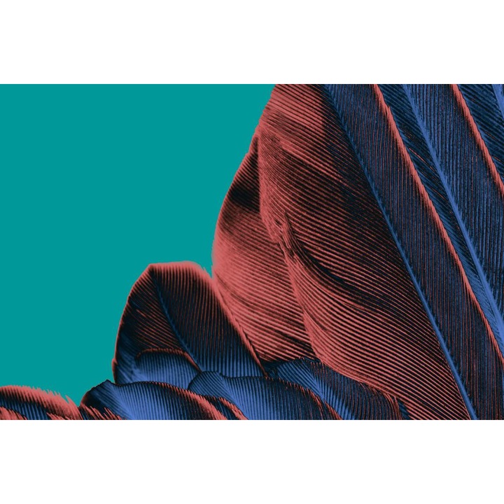 PVC öntapadó tapéta - Absztrakt textúra leveleken, 100 x 150 cm