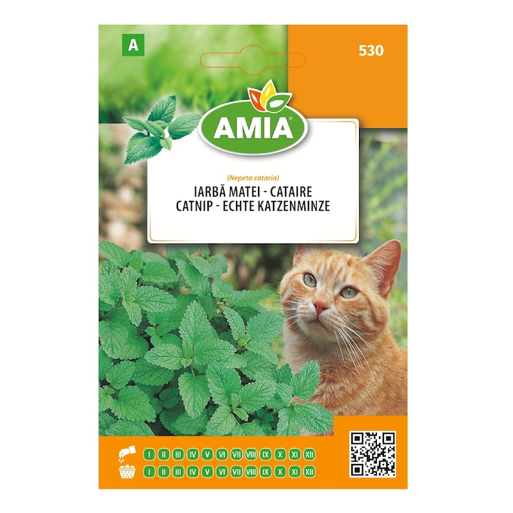 Seminte de iarba pentru pisica, Nepeta Cataria, 0,5 grame, AMIA