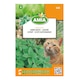 Seminte de iarba pentru pisica, Nepeta Cataria, 0,5 grame, AMIA