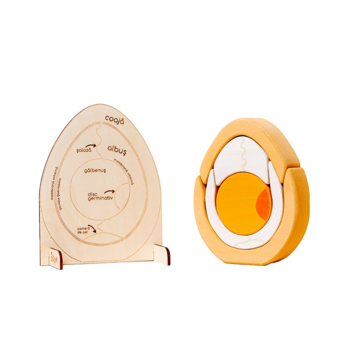 Set educativ Ou anatomic Joyeli, de stivuit cu plansa de invatare, 18cm