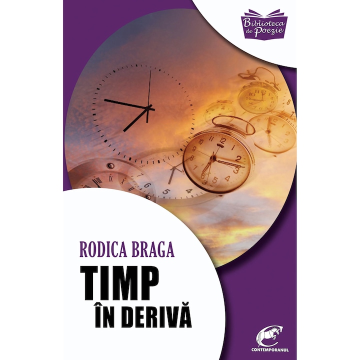 Timp in deriva - Rodica Braga