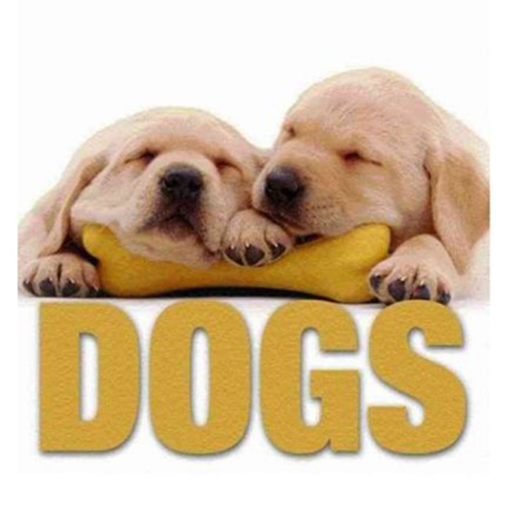 Dogs Cube Book - Vito Buono