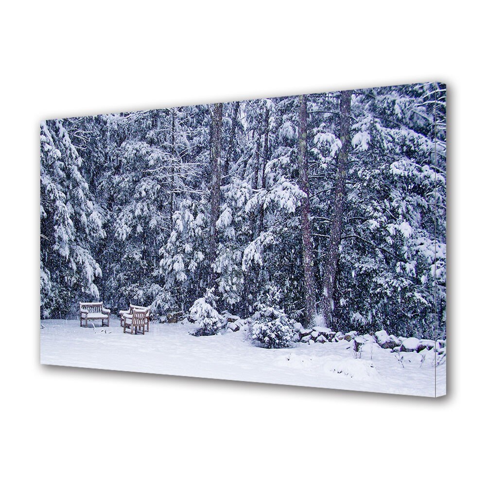 Tablou Canvas Sarbatori Craciun Dupa ninsoare 20 x 30 cm