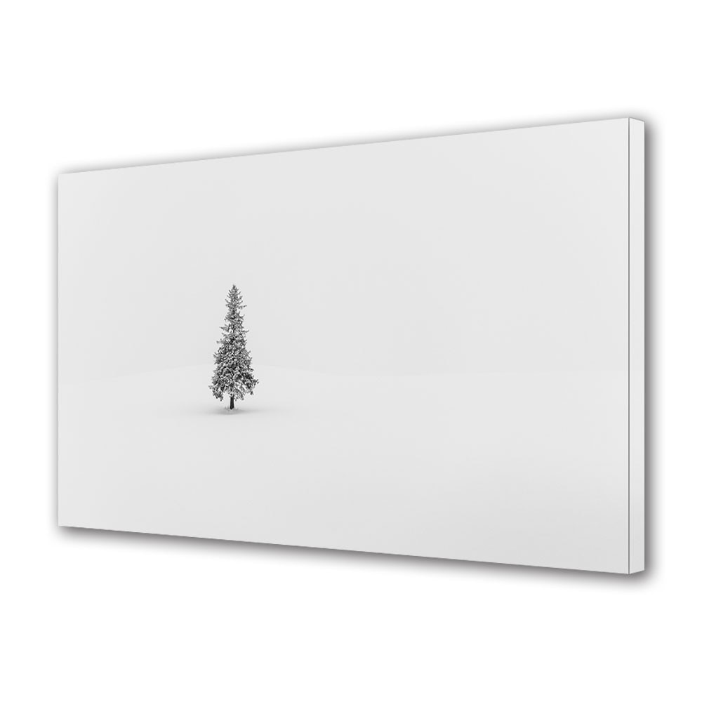 Tablou Canvas Sarbatori Craciun Brad alb de craciun 20 x 30 cm