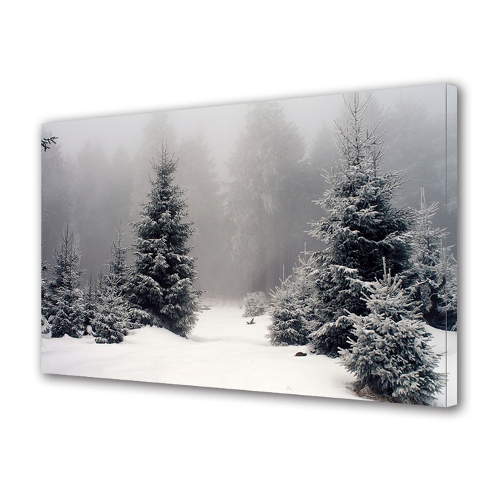 Tablou Canvas Sarbatori Craciun Palc de brazi 20 x 30 cm