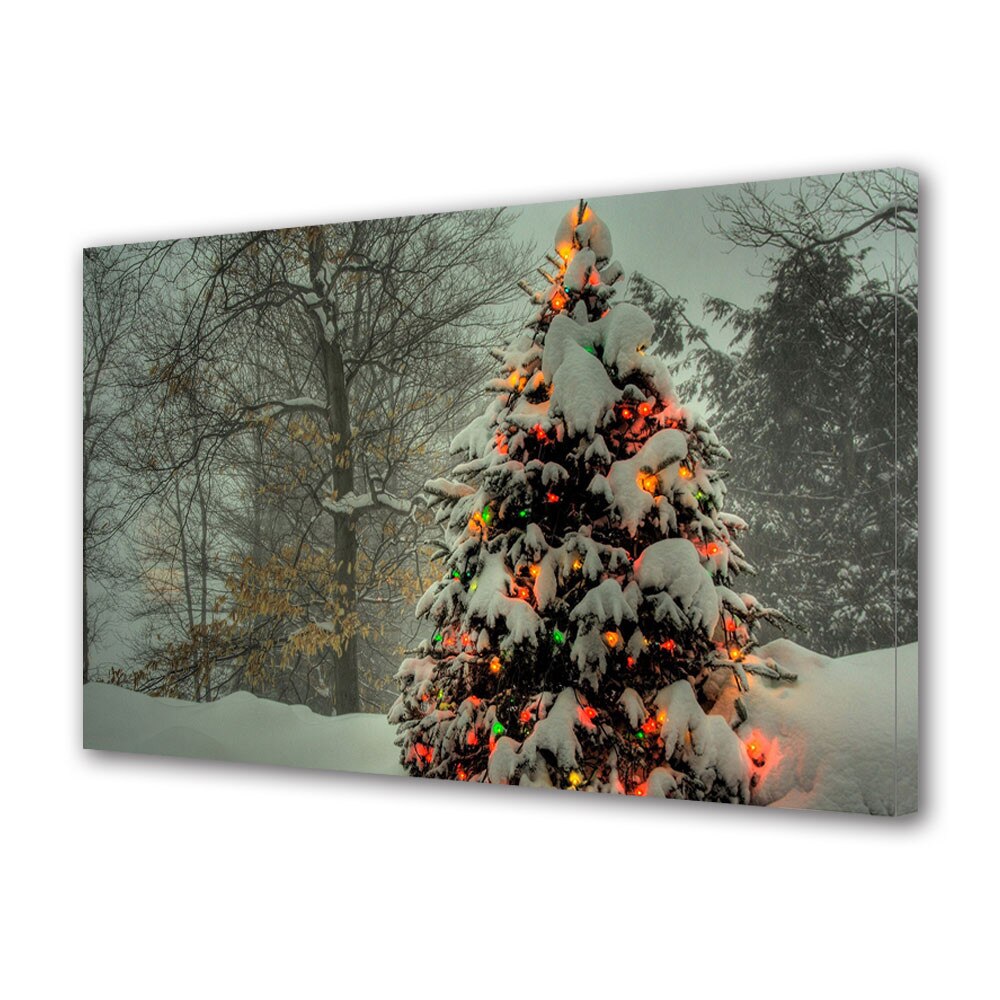 Tablou Canvas Sarbatori Craciun Brad in natura 20 x 30 cm