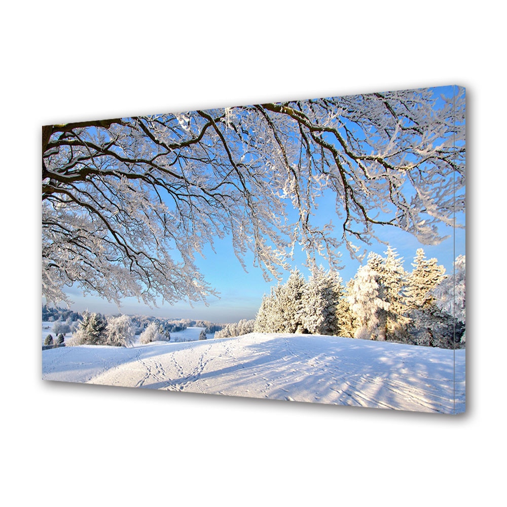 Tablou Canvas Sarbatori Craciun Umbra copacilor ninsi 40 x 60 cm