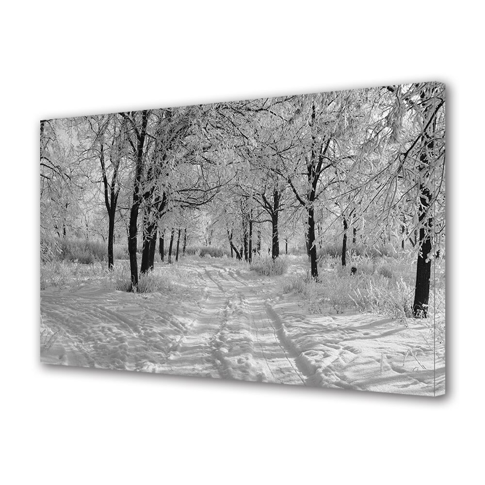 Tablou Canvas Sarbatori Craciun Alb Negru 20 x 30 cm