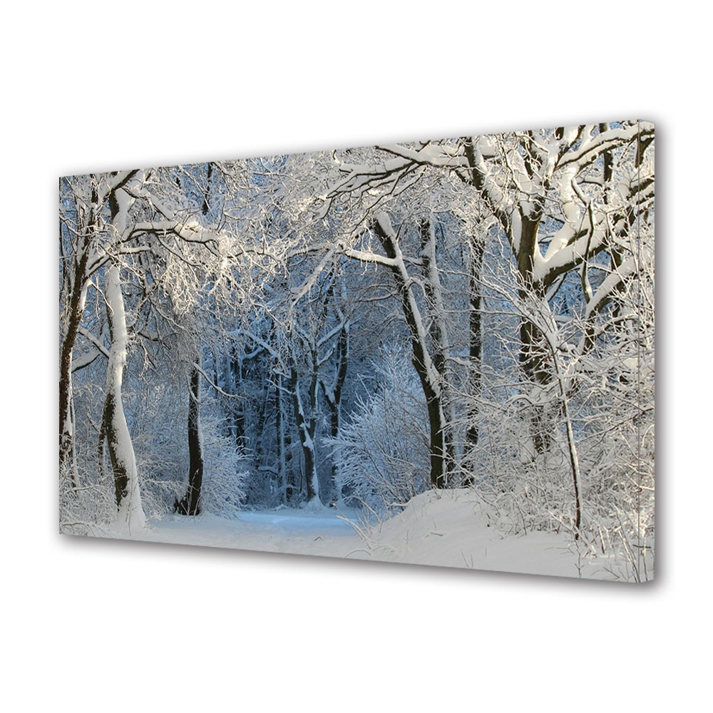 Tablou Canvas Sarbatori Craciun Tunel in padurea alba 40 x 60 cm