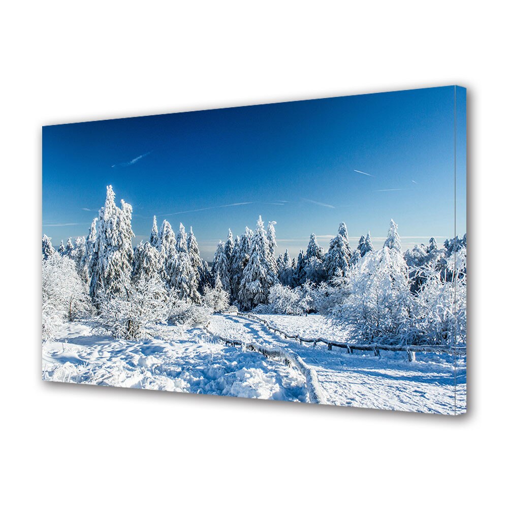 Tablou Canvas Sarbatori Craciun Alb si albastru 20 x 30 cm