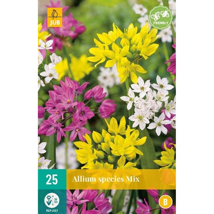Bulbi, Allium Species Mix, Jub Holland, 25 buc