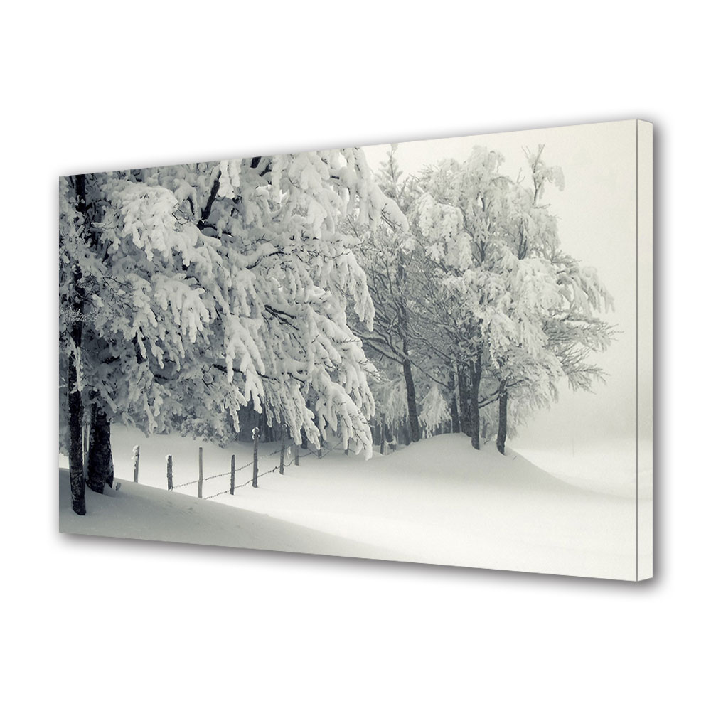 Tablou Canvas Sarbatori Craciun Alb alb 50 x 70 cm